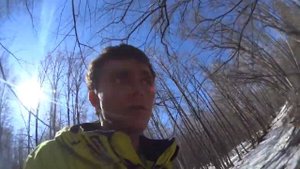 Бродяга Фишай - Бузулукский бор