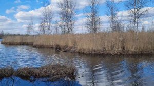 Плавающий остров