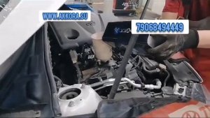 масло Аккора у официального дилера Тойота #аккора #автомасла #тойота