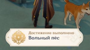 ВОЛЬНЫЙ ПЕС Достижение Геншин импакт Скрытые достижения, видео №34 Genshin Impact