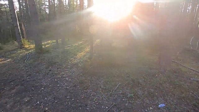 Ирбис ттр 200 кубов. Обзор кроссового мотоцикла. Полное руководство по эксплуатации в описании.