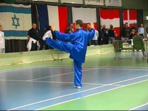 Джамал Ажигирей. Тайцзицюань, IWUF-42. Швеция - 2008.