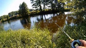 Новичок сделал дядю. Рыбалка с подписчиком. Его первый голавль. Новая катушка SHENG HE LINGL BFS