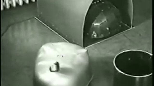 Grey Walter's tortoises смотреть онлайн