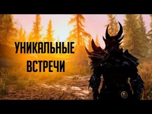 Skyrim 6 РЕДКИХ И УНИКАЛЬНЫХ ВСТРЕЧ ( Секреты 315 )
