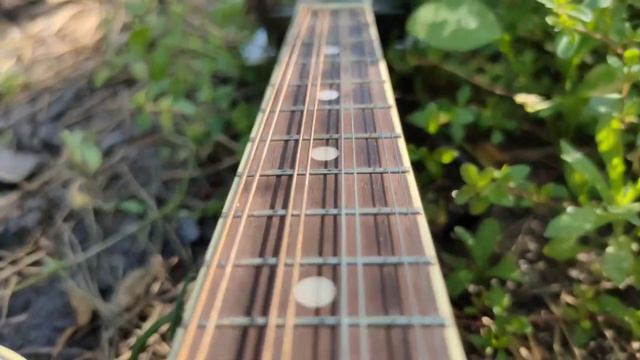 Collectio instrumentorum musicorum смотреть онлайн