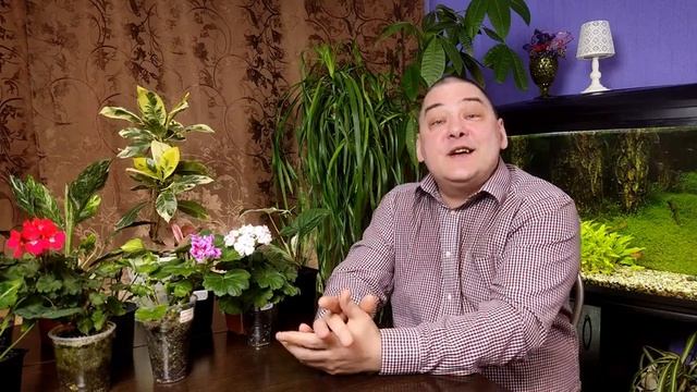Удобрения в палочках: волшебная кнопка или лень, которая может дорого вам обойтись?