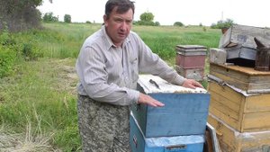 смена матки без перерыва в работе старой.