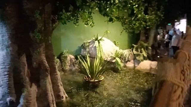 Сочи,.АДЛЕРКУРОРТ. Океанариум.