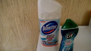 Средство для унитаза. Domestos