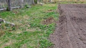 Пахота огорода мотоблоком мб с плугом от агрос