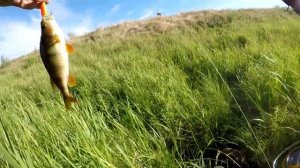 Дикий ветер не дал половить щуку. Но от ноля ушел.