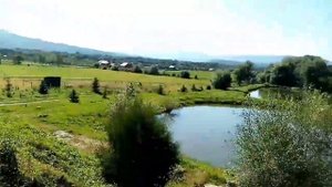 Золотая Рыбка в Псебае