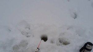 НА РЫБАЛКУ НА МОТОСОБАКЕ МУЖИК! ВОТ ЭТО УЛОВ!