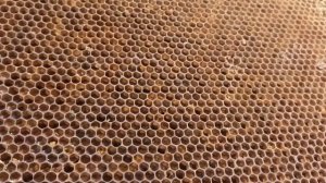 Ликбез для покупателей. Перга