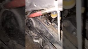 скутер Сузуки сепия zz после замены амортизатора обзор.