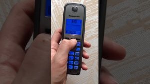 DECT Panasonic KX-TG6611RUM