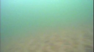 Как показывает камера Сом видио под водой
