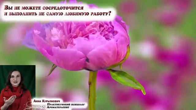 КАК СОСРЕДОТОЧИТСЯ и выполнить то, что надо выполнить №2. Психолог Анна Курьянович.
