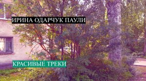 Новый трек Ирины Одарчук Паули Светлые облака