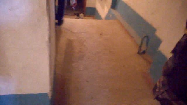 Кот- муркот смотреть онлайн