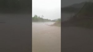 Тернейский район Соболевка