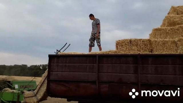Подстилка для свиней