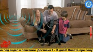 Отпугиватель насекомых, грызунов и тараканов - Atomic Zabber, обзор, цена, купить.