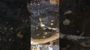 Протечка бойлера. Ищем причину ...