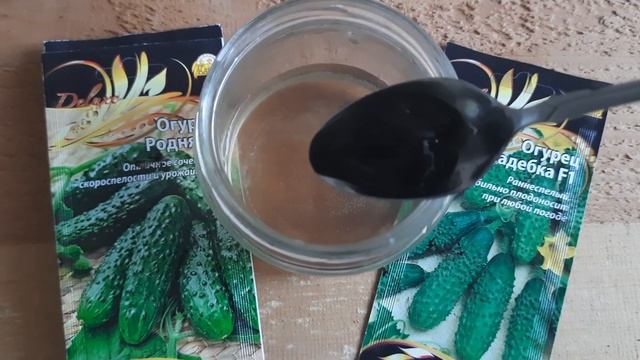 СЕМЕНА ОГУРЦОВ ПРОРАСТУТ ЗА СЧИТАННЫЕ ЧАСЫ И РАССАДА НЕ БУДЕТ БОЛЕТЬ ЕСЛИ ЗАМОЧИТЬ ИХ В ЭТОМ!!! смотреть онлайн