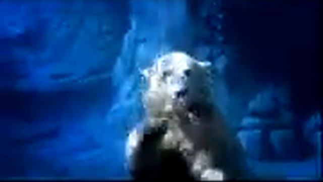 Lia and Lutik - Sea World Commercial смотреть онлайн