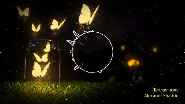 Alexandr Shadrin - Теплая ночь (album version)