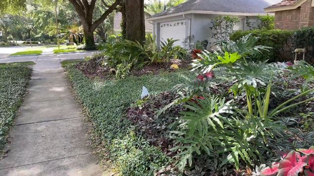 Подстригли Бориса, тянуть больше было нельзя! #натальяфальконе #флорида #США смотреть онлайн