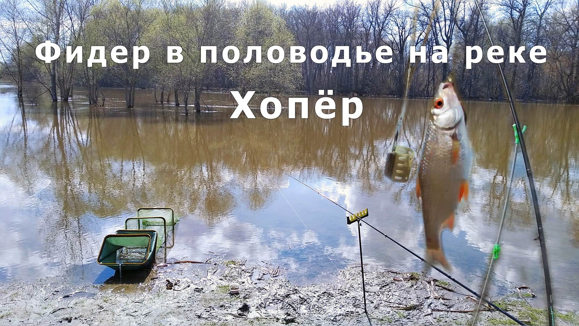 Фидер в половодье на реке Хопёр