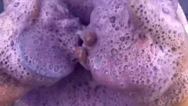 ? Истории про школу ? с  мылом, пеной и слаймами- хрустяшками ? от подписчиков ❤️