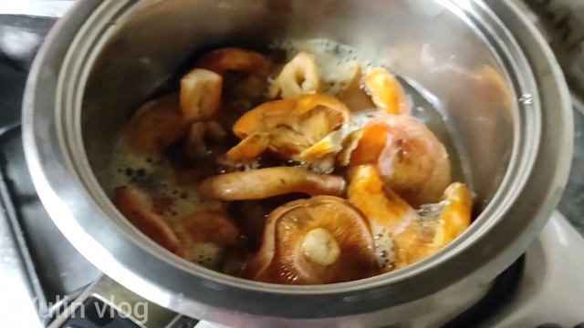 СОБИРАЕМ РЫЖИКИ/КАК ЗАСОЛИТЬ РЫЖИКИ