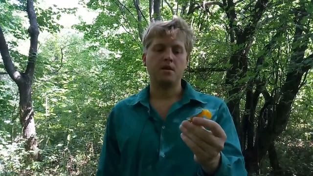 Как избавиться от сходов при ловле на джиг? (Делаем снасточку) смотреть онлайн