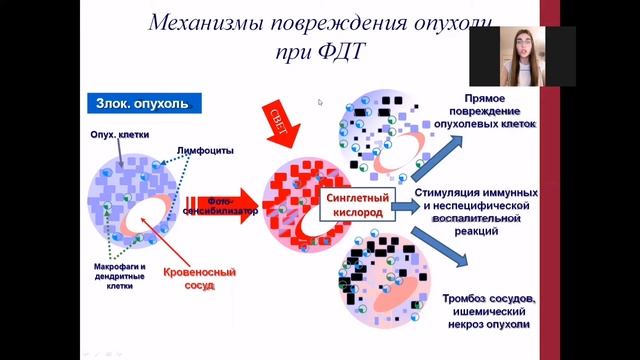 «Фотодинамическая терапия в онкологии» смотреть онлайн