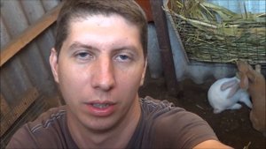 Разведение кроликов в яме и клетке часть 11 Иркутск