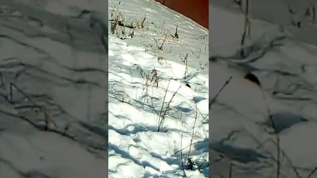 Мой город смотреть онлайн