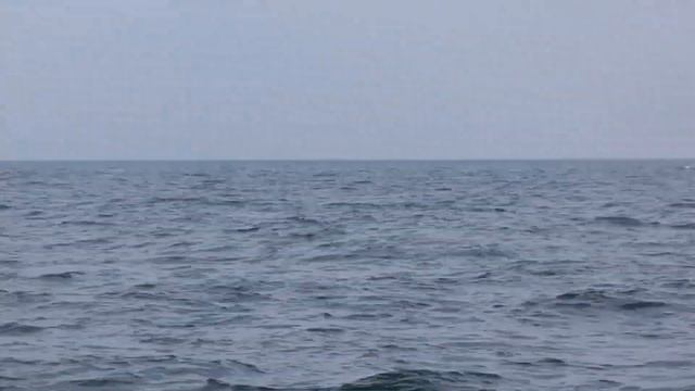 Одесса, Черное море, юный рыболов ставит рекорды на Б-Днестровской банке,17.10.19 смотреть онлайн