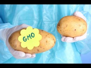 СКАЗКИ ПРО ЭКО ПРОДУКТЫ ИЗ ДЕРЕВНИ