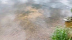 Лещи на фидер в грозу. Белоярское водохранилище