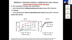 Механизмы перетренировки при напряженных физических нагрузках. Золотая лекция Андрея Мельникова