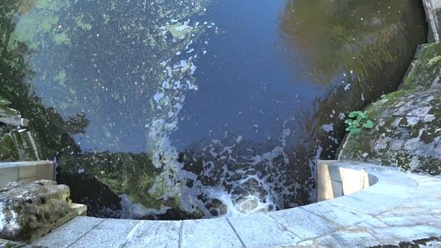 Павловский парк. Полный обзор за 20 минут! смотреть онлайн