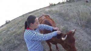 Обычный вечер в деревне // Семья в деревне // Жизнь в деревне