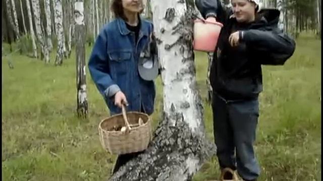 ГРИБЫ смотреть онлайн