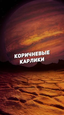 КОРИЧНЕВЫЕ КАРЛИКИ | THE SPACEWAY