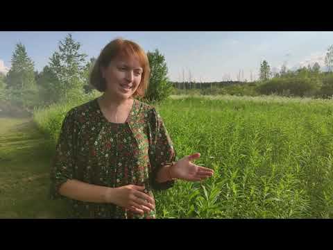 За кулисами
