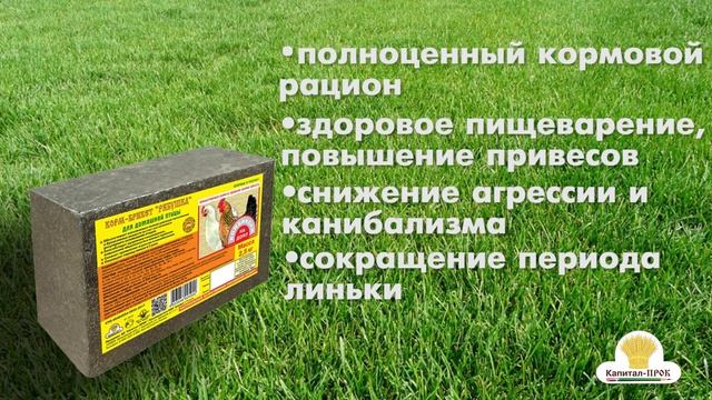 Корм для куриц. Как увеличить яйценоскость? Брикет Рябушка корм для птиц